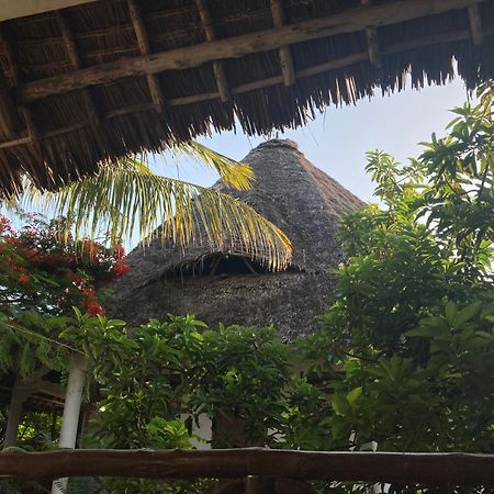 Pasa Lodge Zanzibar نونغوي المظهر الخارجي الصورة