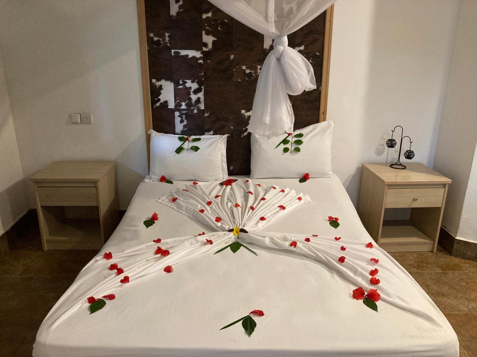 Pasa Lodge Zanzibar نونغوي المظهر الخارجي الصورة