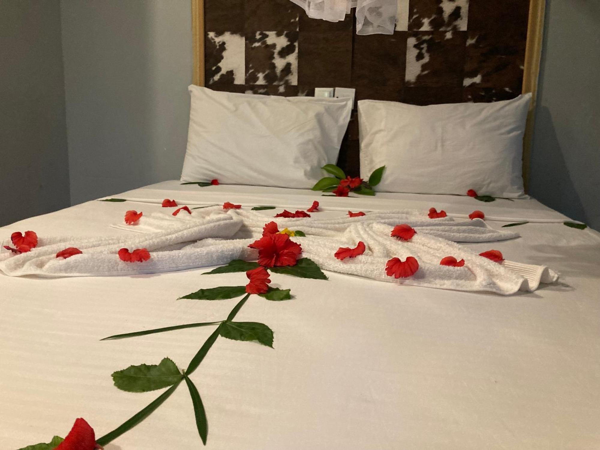Pasa Lodge Zanzibar نونغوي المظهر الخارجي الصورة