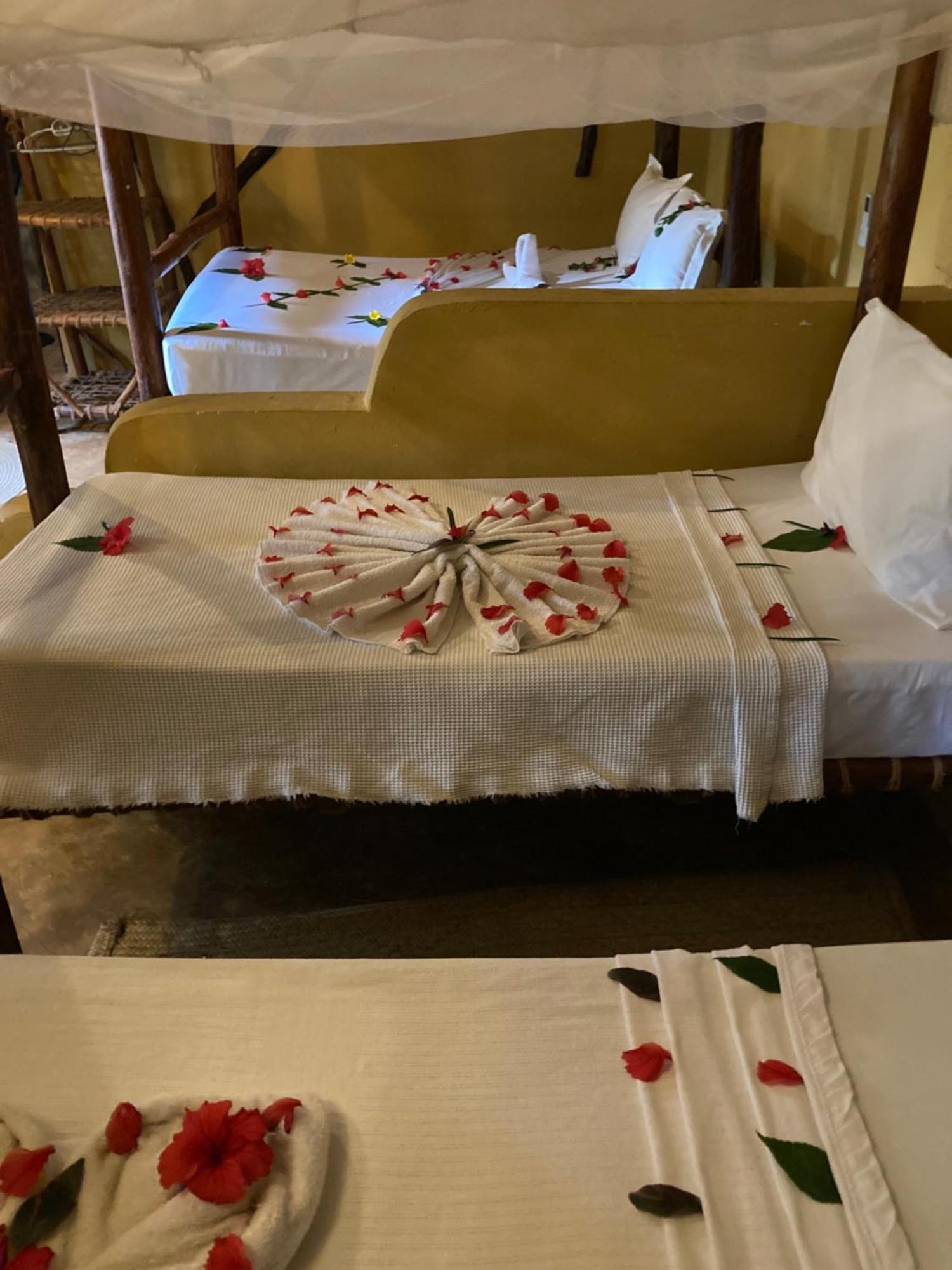 Pasa Lodge Zanzibar نونغوي المظهر الخارجي الصورة