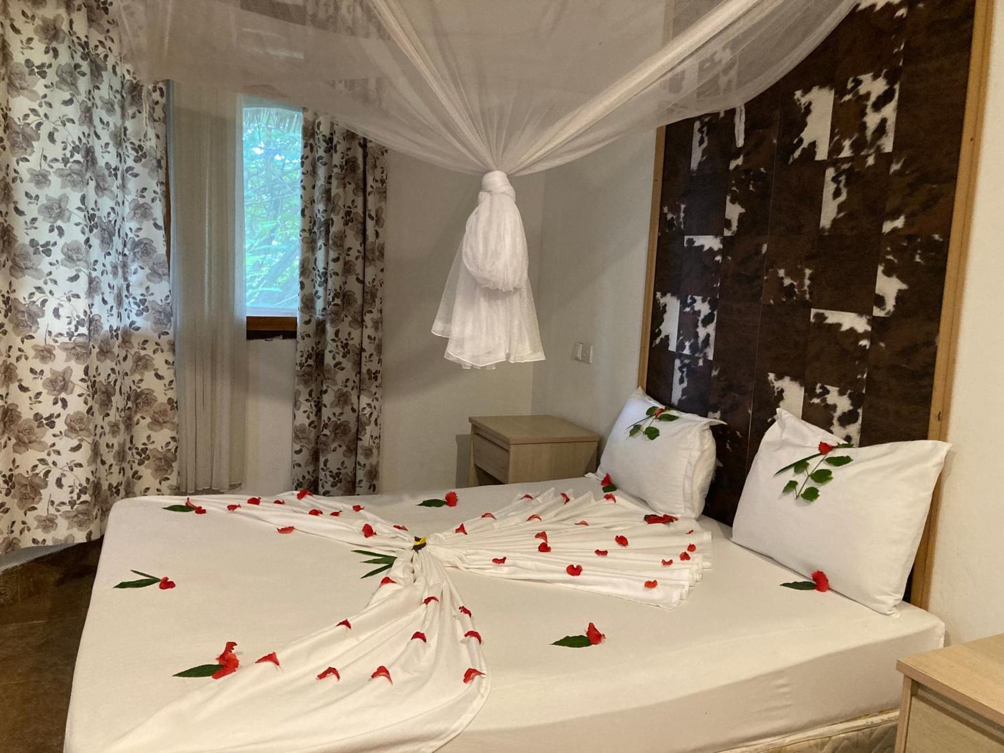 Pasa Lodge Zanzibar نونغوي المظهر الخارجي الصورة