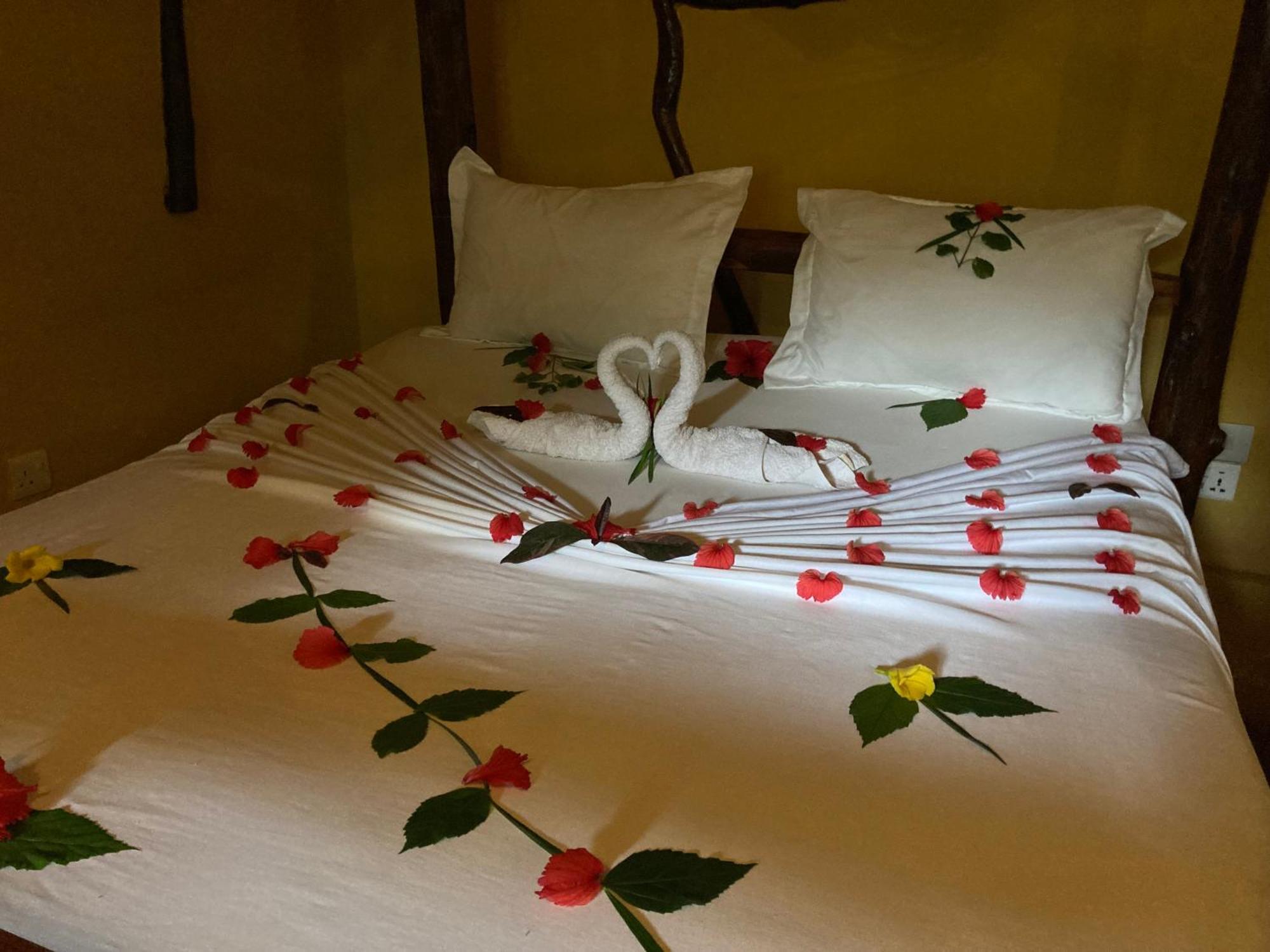 Pasa Lodge Zanzibar نونغوي الغرفة الصورة
