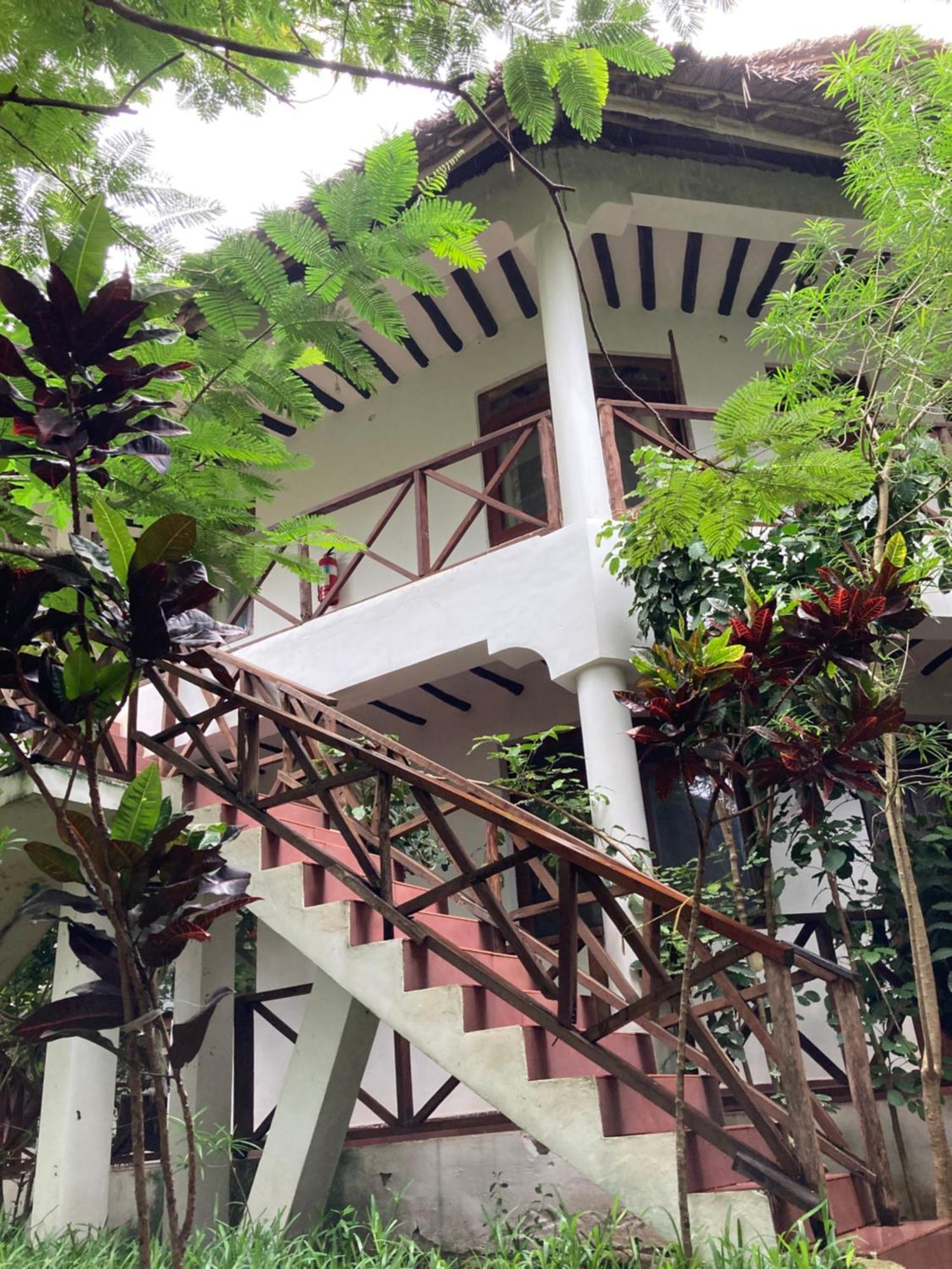 Pasa Lodge Zanzibar نونغوي المظهر الخارجي الصورة
