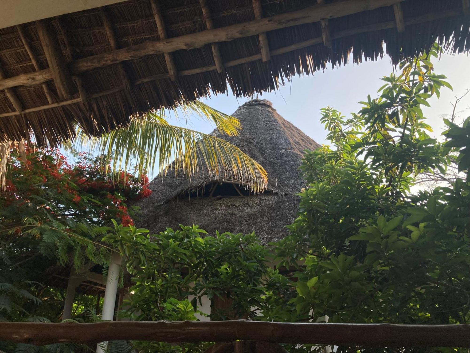 Pasa Lodge Zanzibar نونغوي المظهر الخارجي الصورة