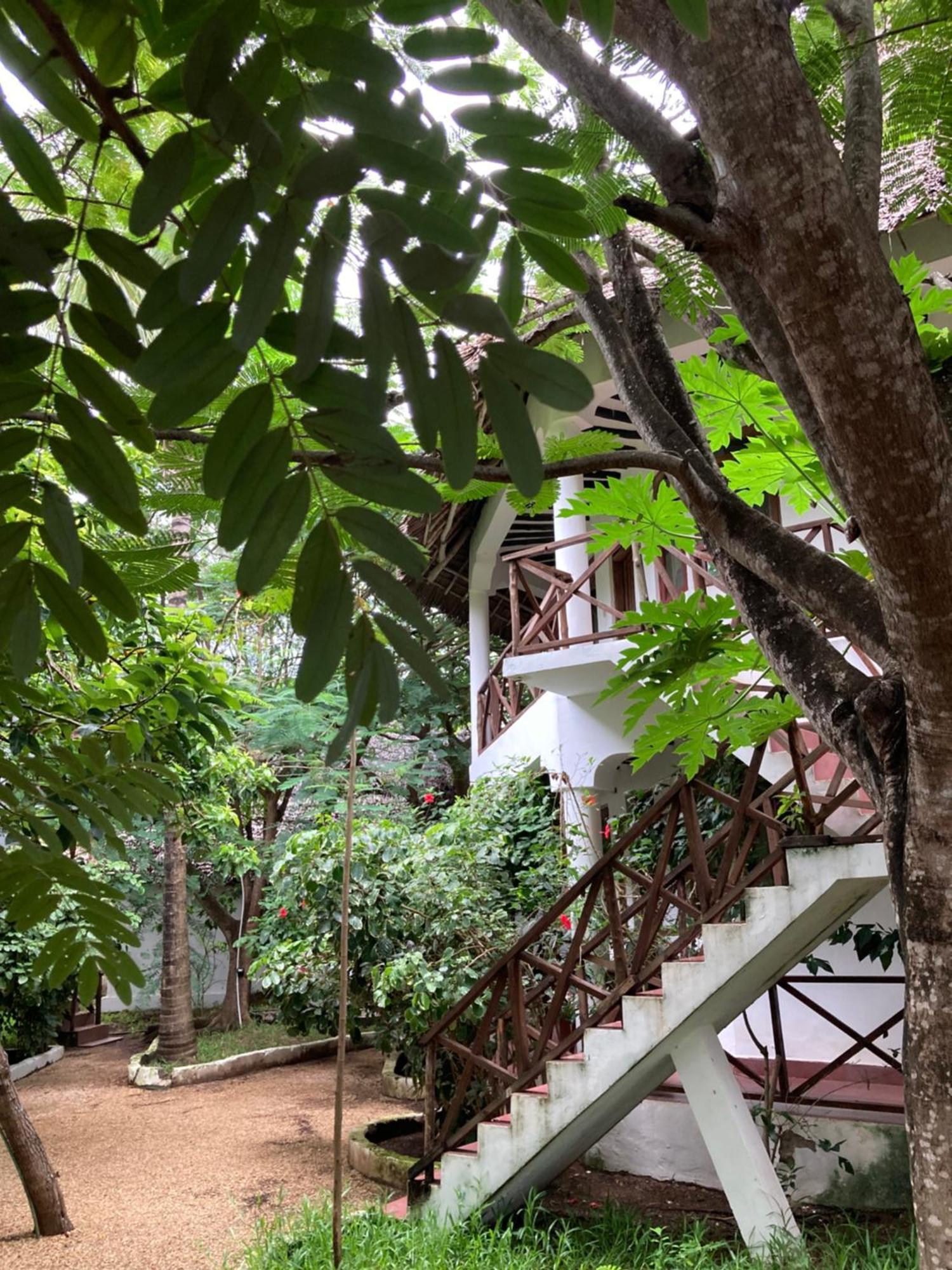 Pasa Lodge Zanzibar نونغوي المظهر الخارجي الصورة